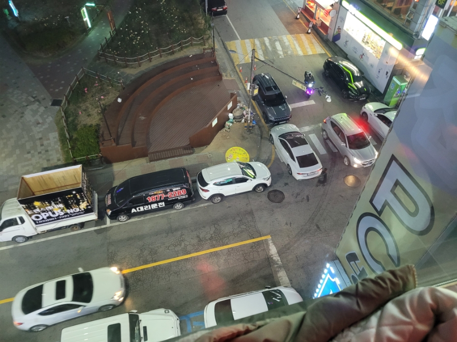 장미노래연습장 이미지