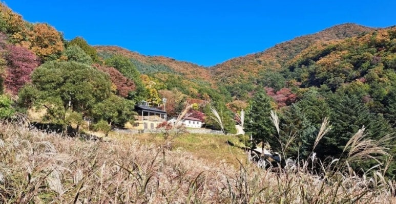 제주오감 이미지