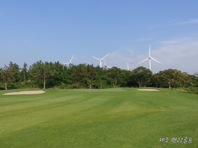 라온제주 이미지