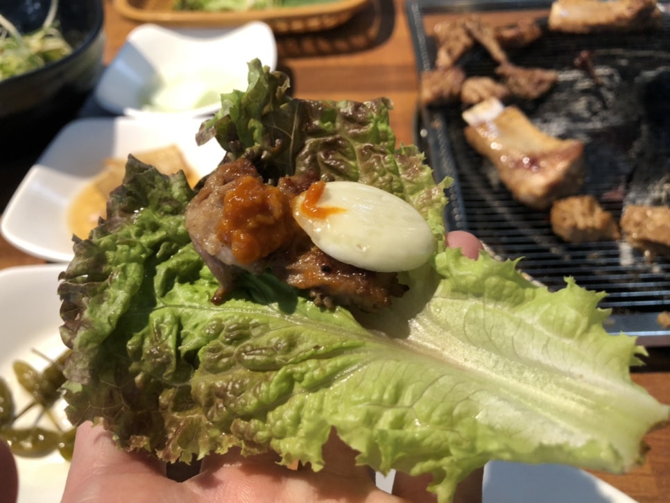폭탄돼지 이미지