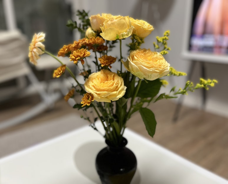 스튜디오감동 이미지