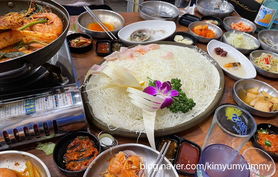 돌고래회 이미지