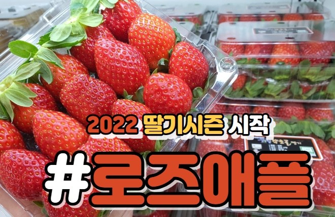 로즈애플 이미지