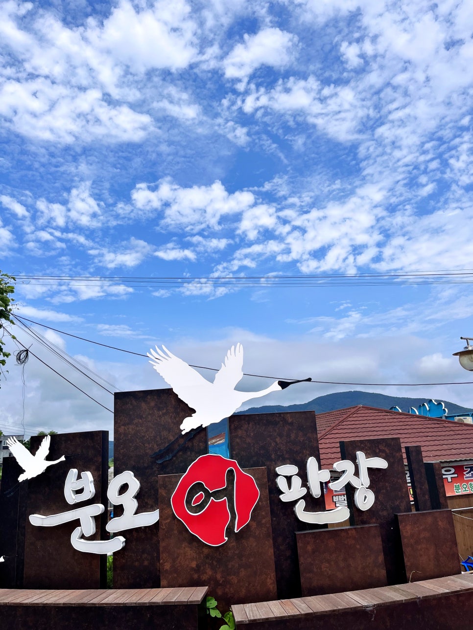 수시호 이미지