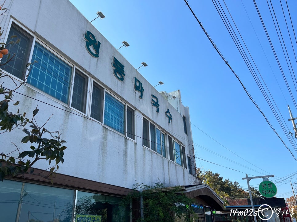원통만두 이미지