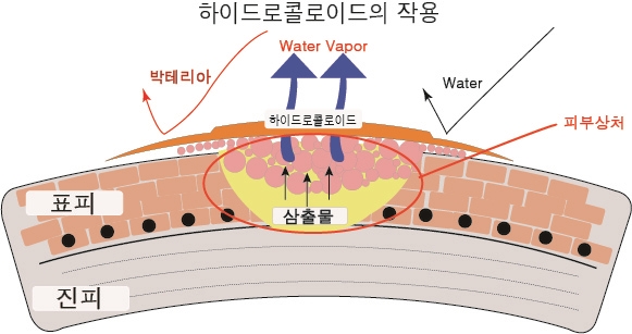 (주) 메디프 이미지