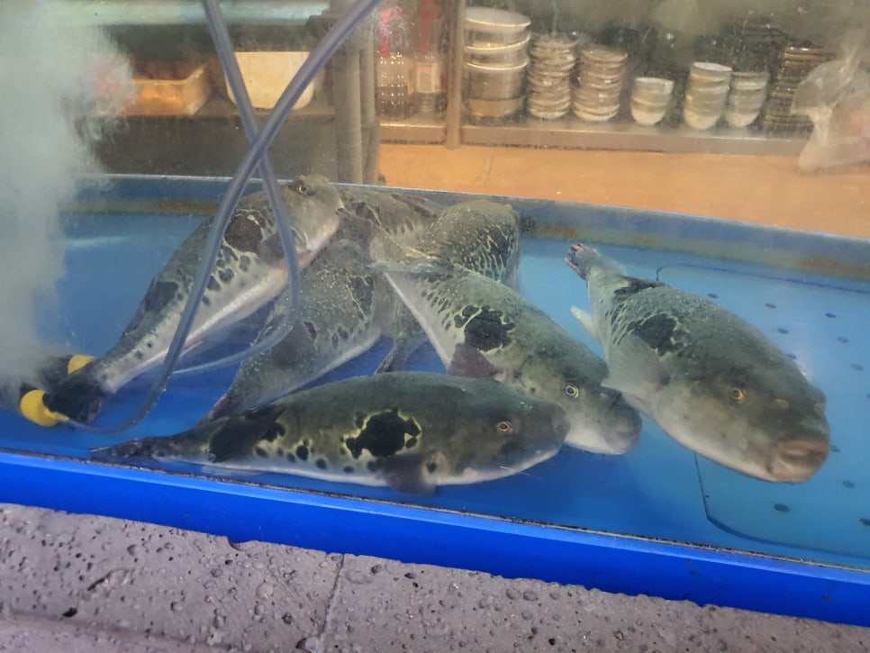 대복사실 이미지