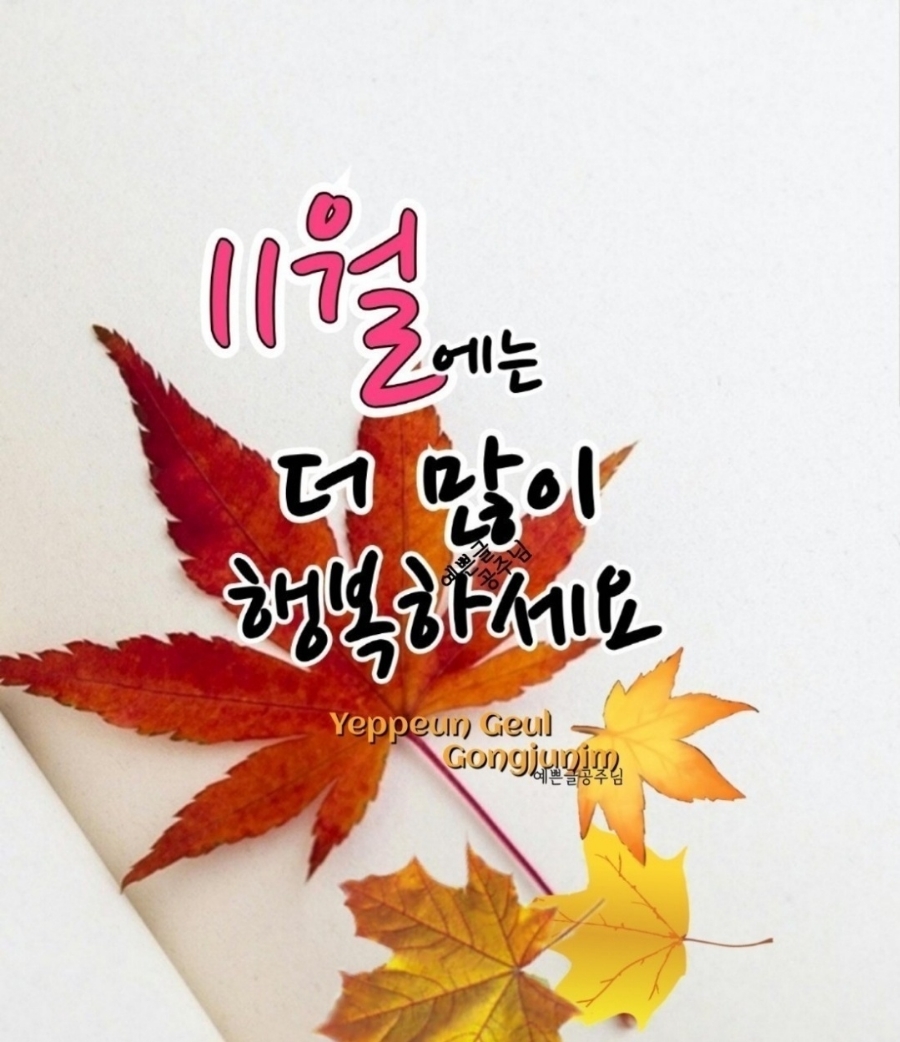 천우미디어그룹 이미지