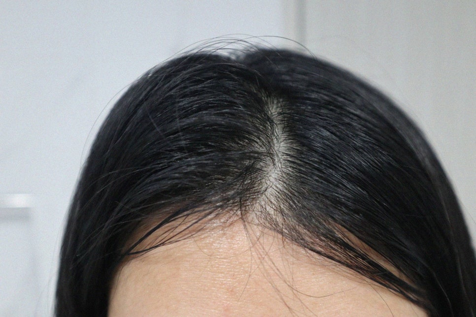 닥터앤닥터스 이미지