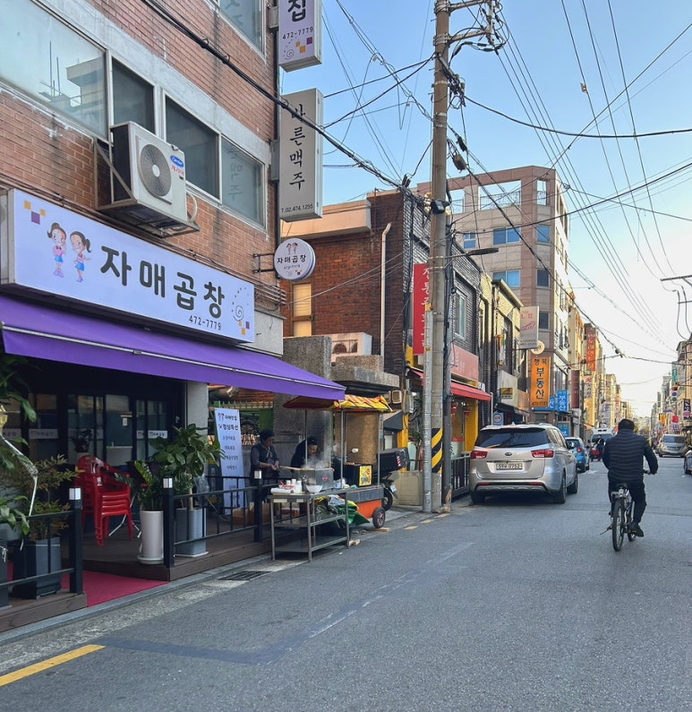 하이.롬블리 이미지