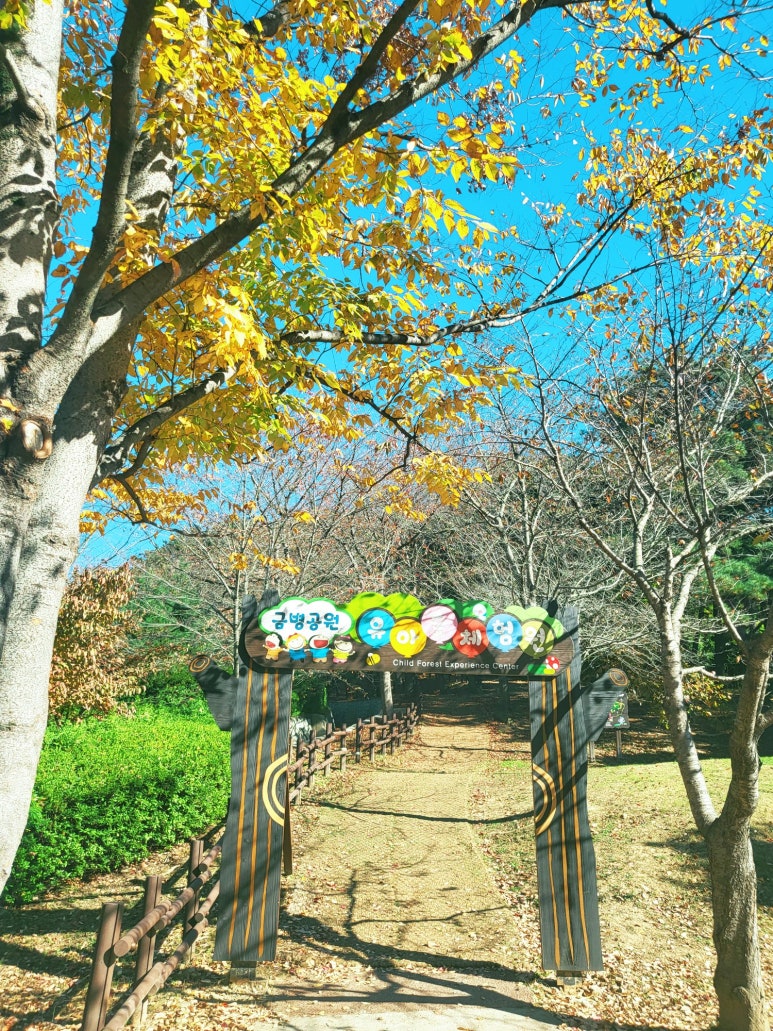 금병공원 유아숲체험원 이미지