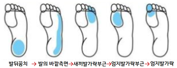 바른생활 다이어트 이미지