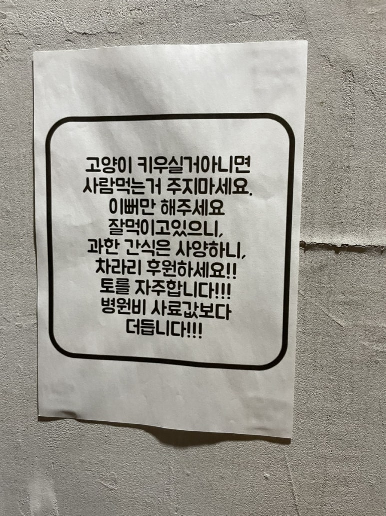 커퍼스초이스 이미지