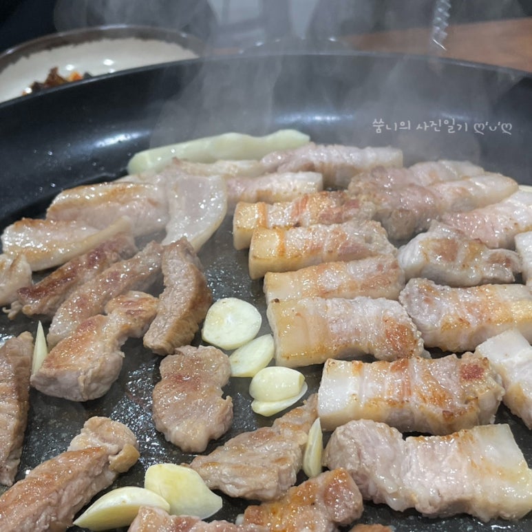돼지도온 이미지