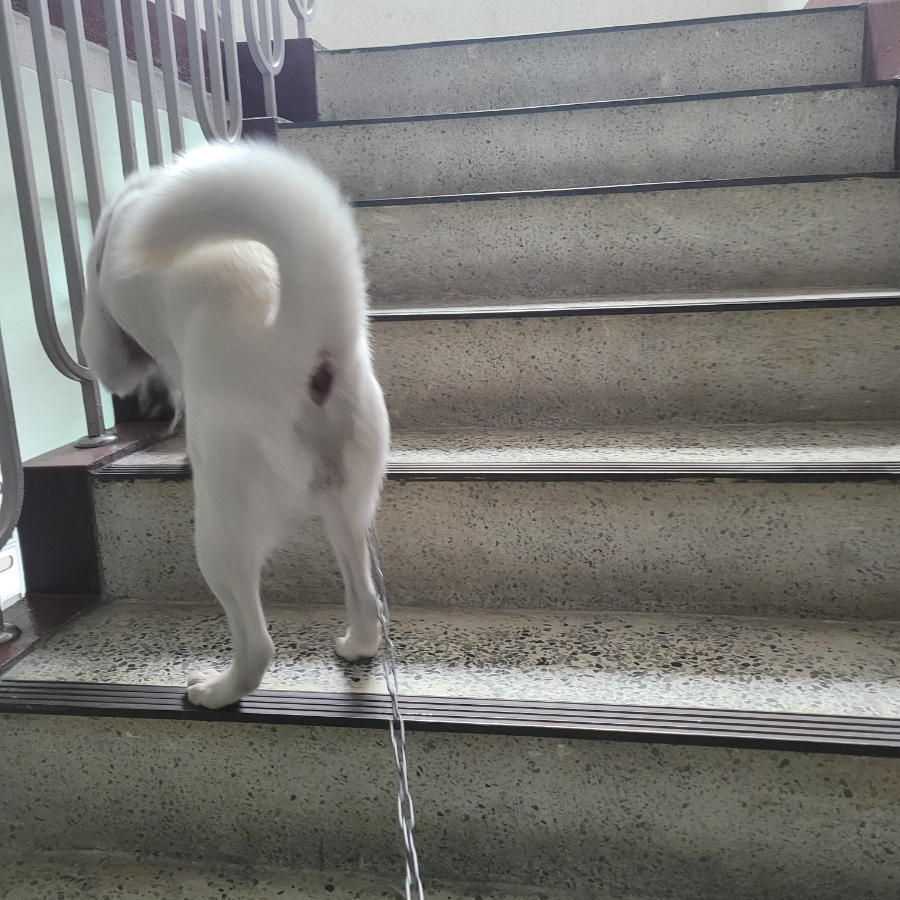 현대엘리베이터공사 이미지