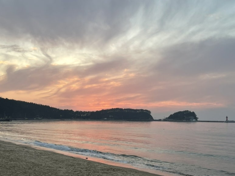 푸른태안 이미지