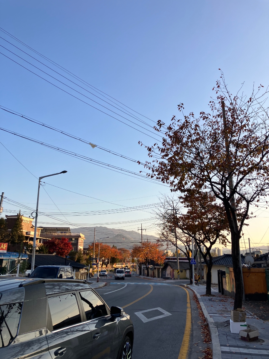 정육가 이미지