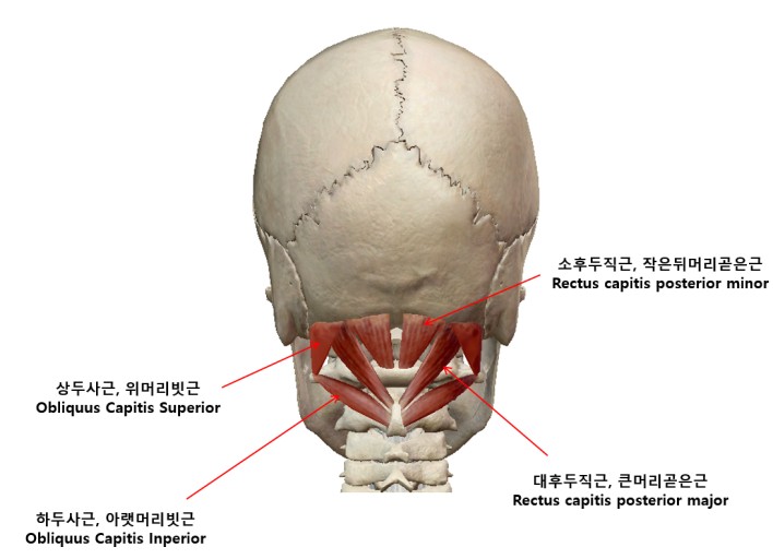 필라테 이미지