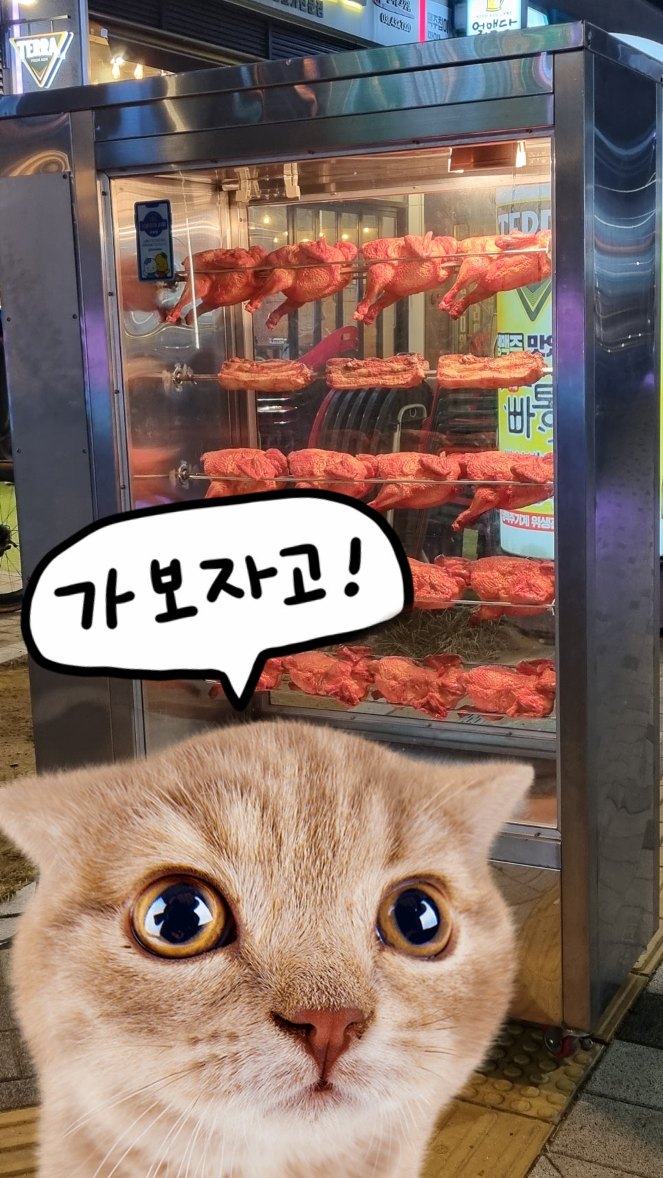 구도로통닭시흥배곧점 이미지