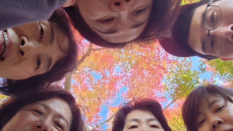 고요한숲 이미지