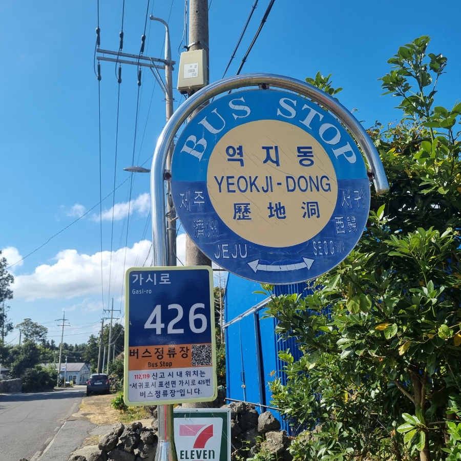 메밀밭에가시리 이미지
