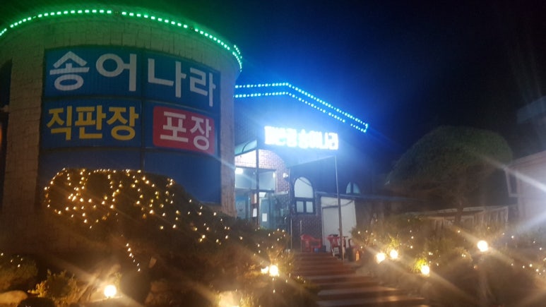 지북동송어 이미지