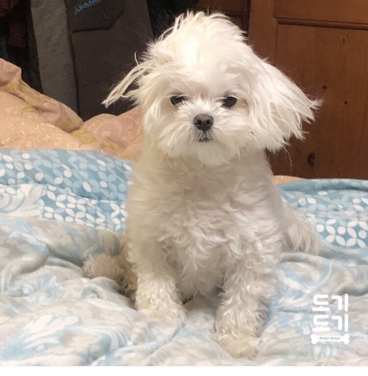카키(Khaki) 이미지