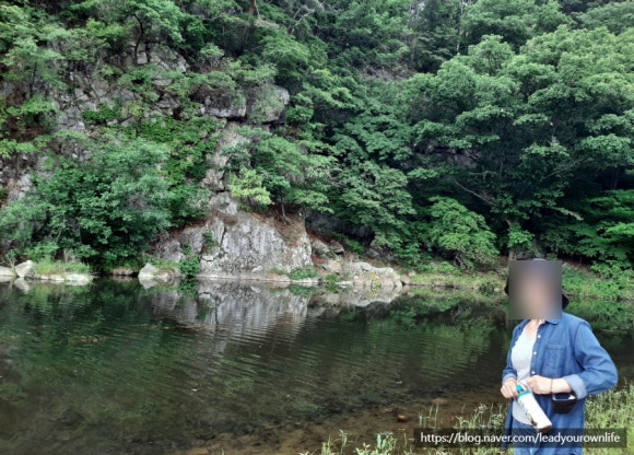 일영갈비 이미지