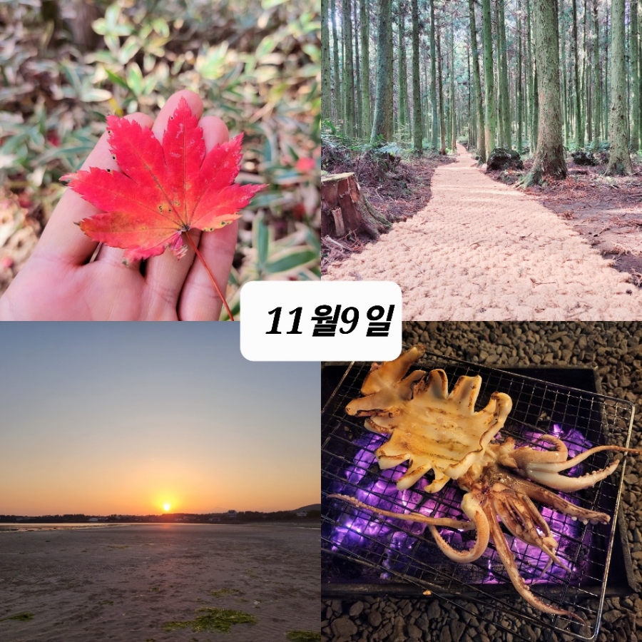 불멍옛날통닭 이미지
