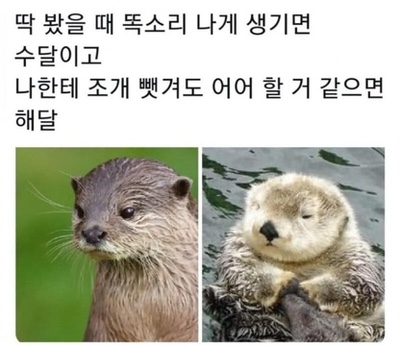 콩반장커피 이미지
