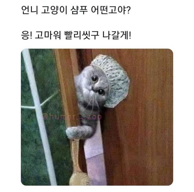 훌랄라참숯바베큐 이미지
