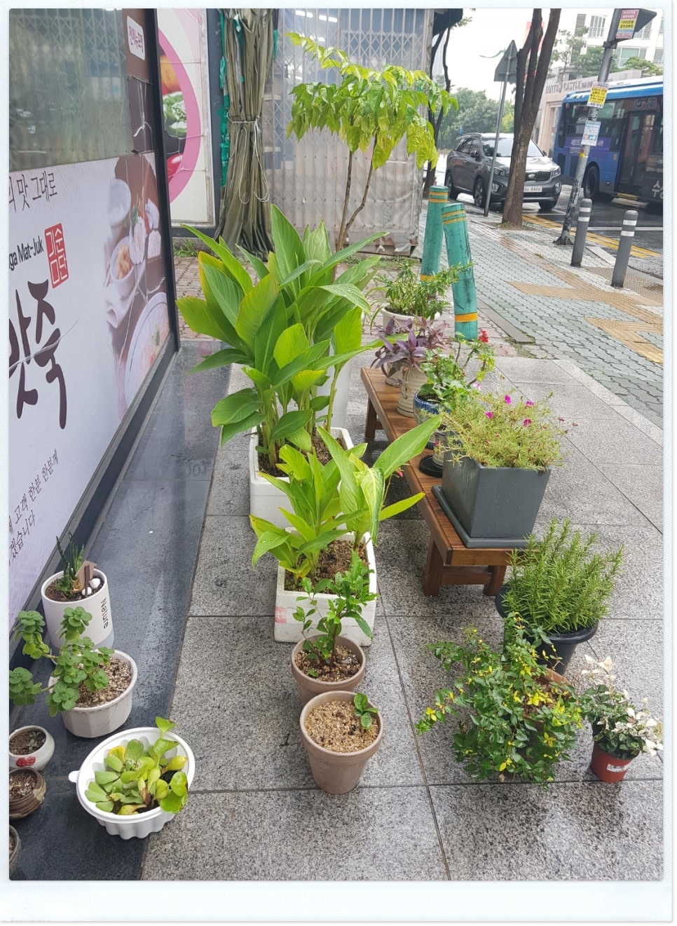 본가맛죽 이미지
