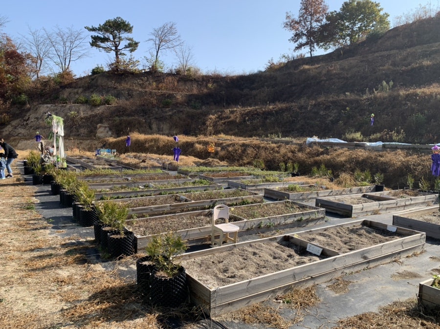 향기소반 이미지