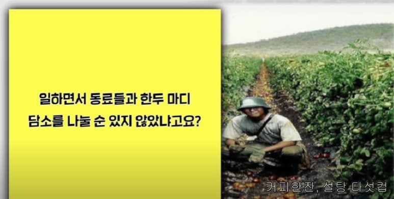 슈퍼윌 이미지