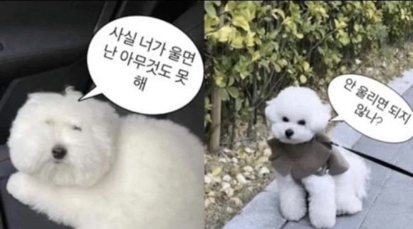 행복한마라탕 이미지