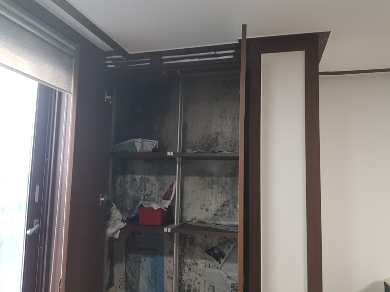 곰팡이제거업체벽지베란다결로단열벽지시공 이미지