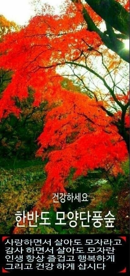 일동 방향 이미지