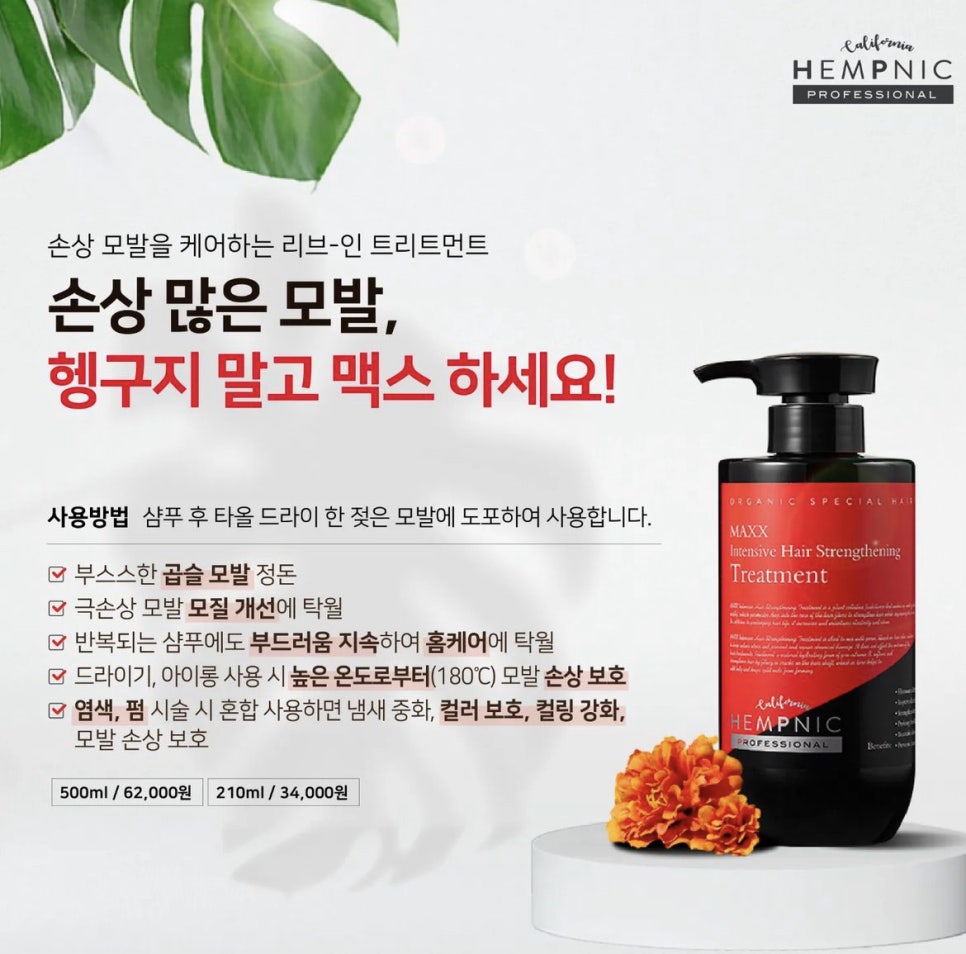 꽃미용실 이미지
