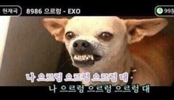 메리제인 카페 이미지