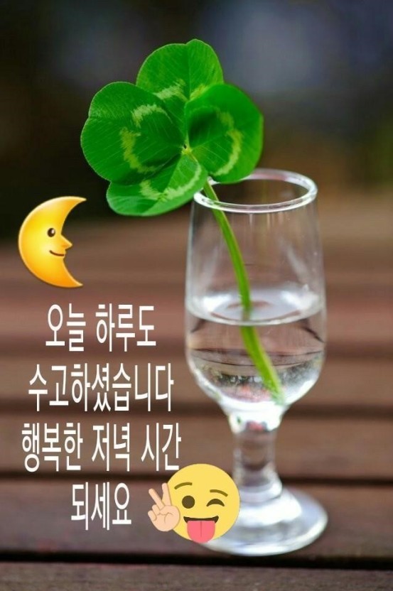 스타일피트 이미지