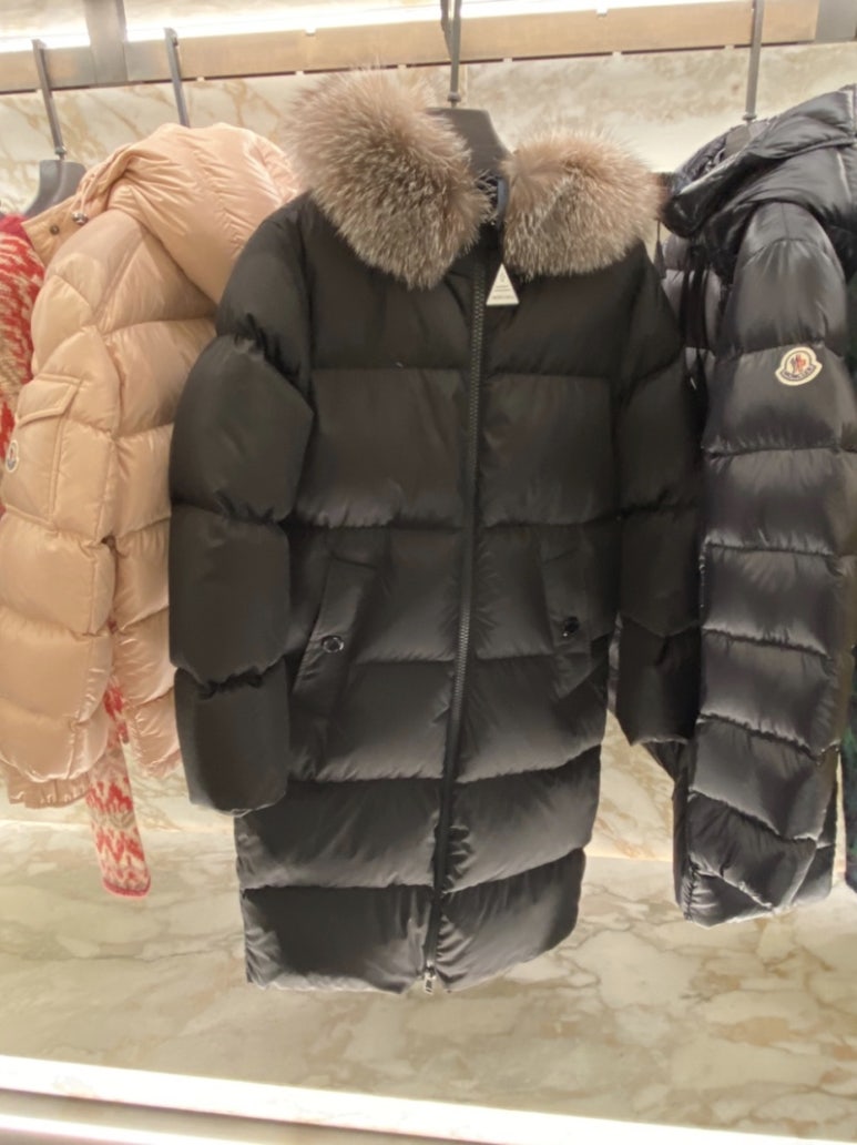 마로니에르 이미지