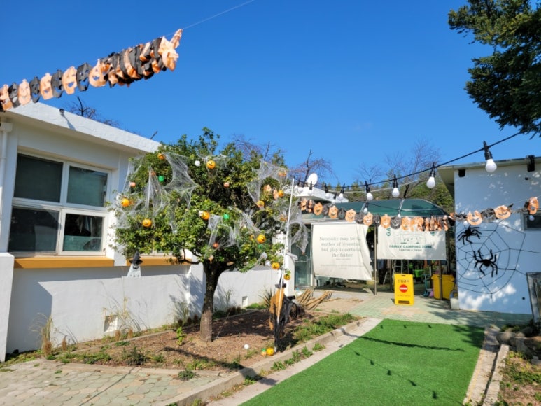 강주학교캠프 이미지
