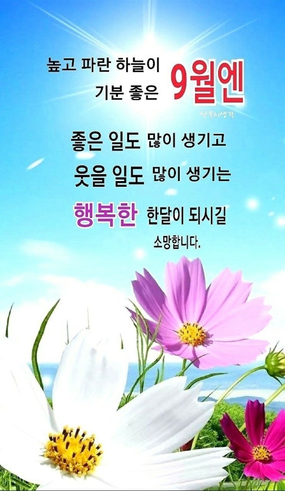 포토그레이방 이미지