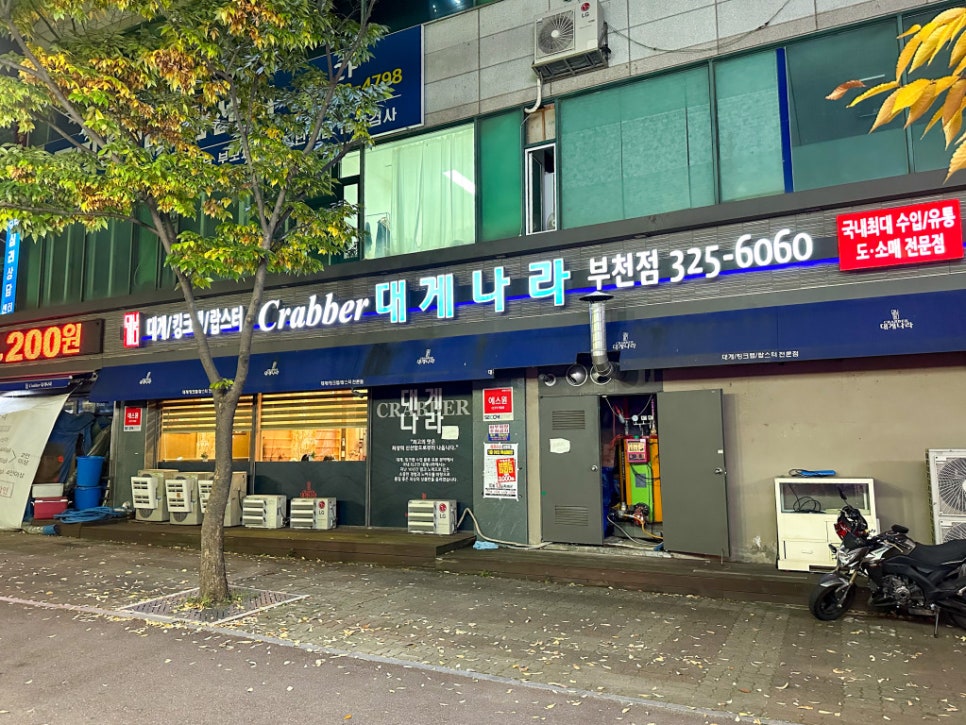 대게나라 이미지
