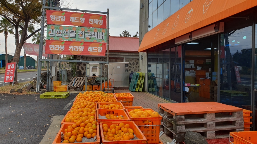 감성영농조합법인 이미지