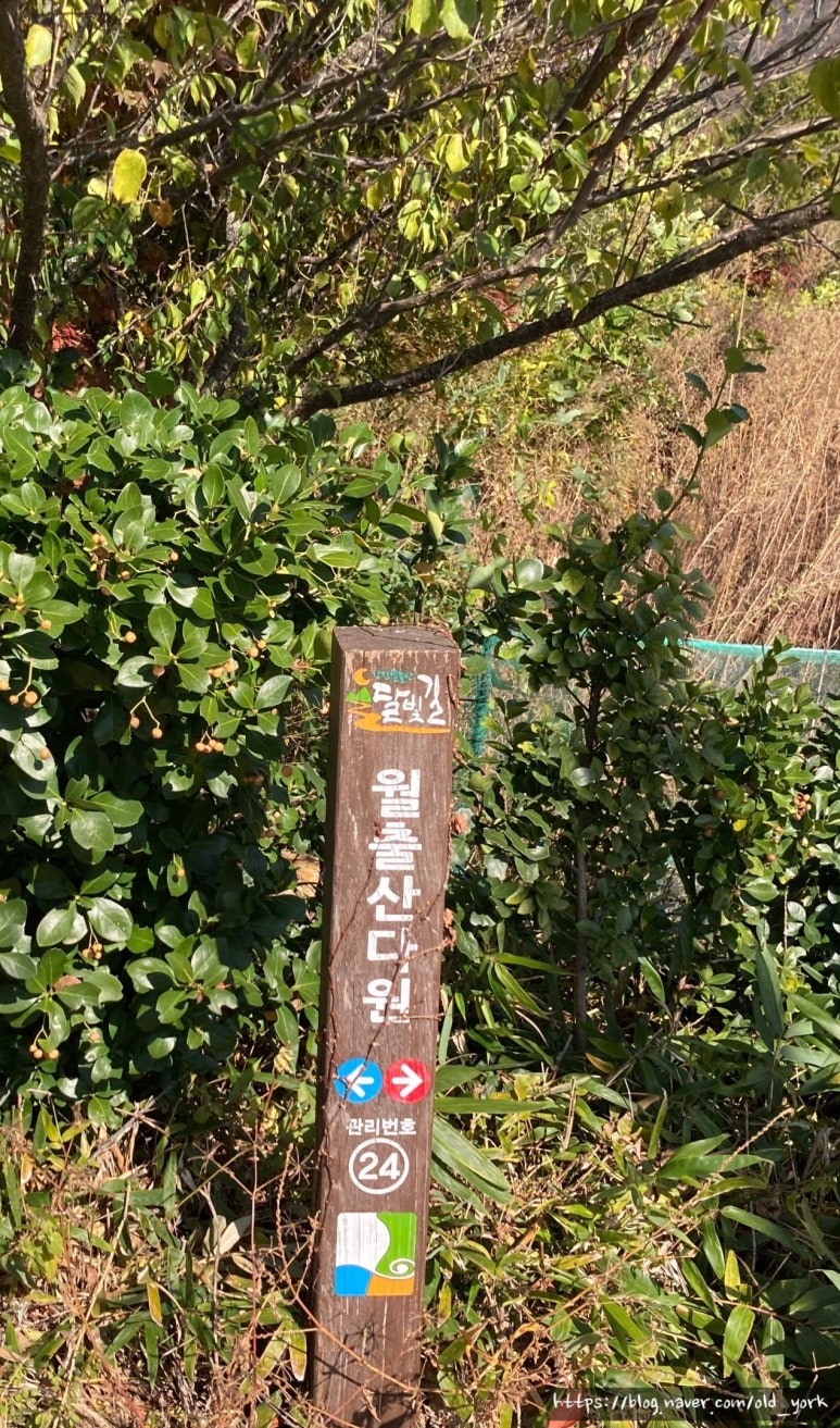 녹향월촌 한우명품관 이미지