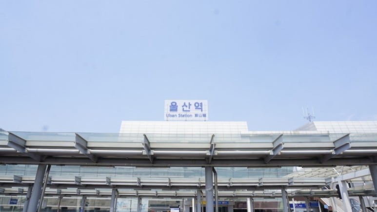 더엠 이미지