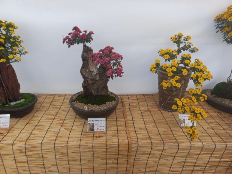 함지박(주) 이미지