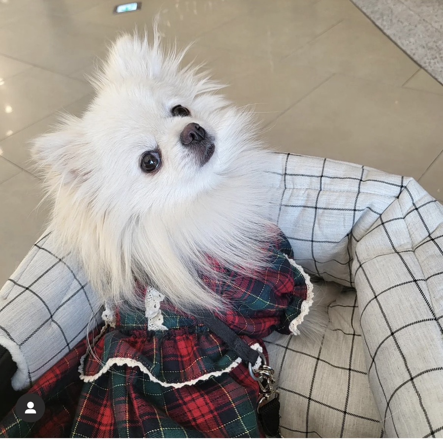소소양품점 이미지