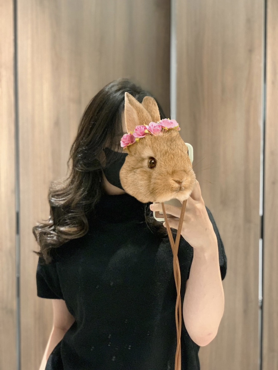 물결스튜디오 이미지